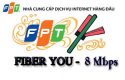 cap quang fiber you gia dinh