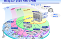 cap quang gpon