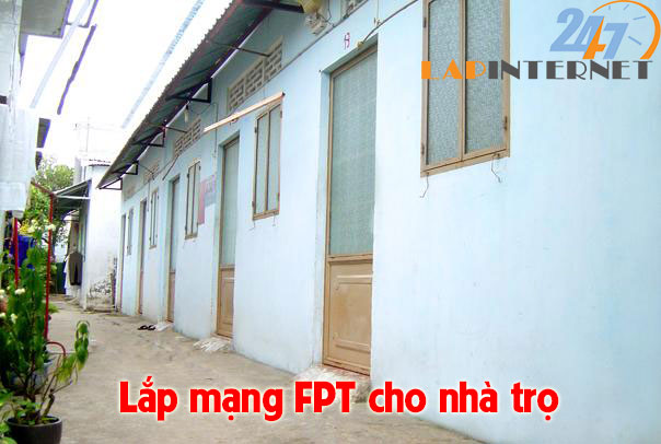 lắp mạng cáp quang